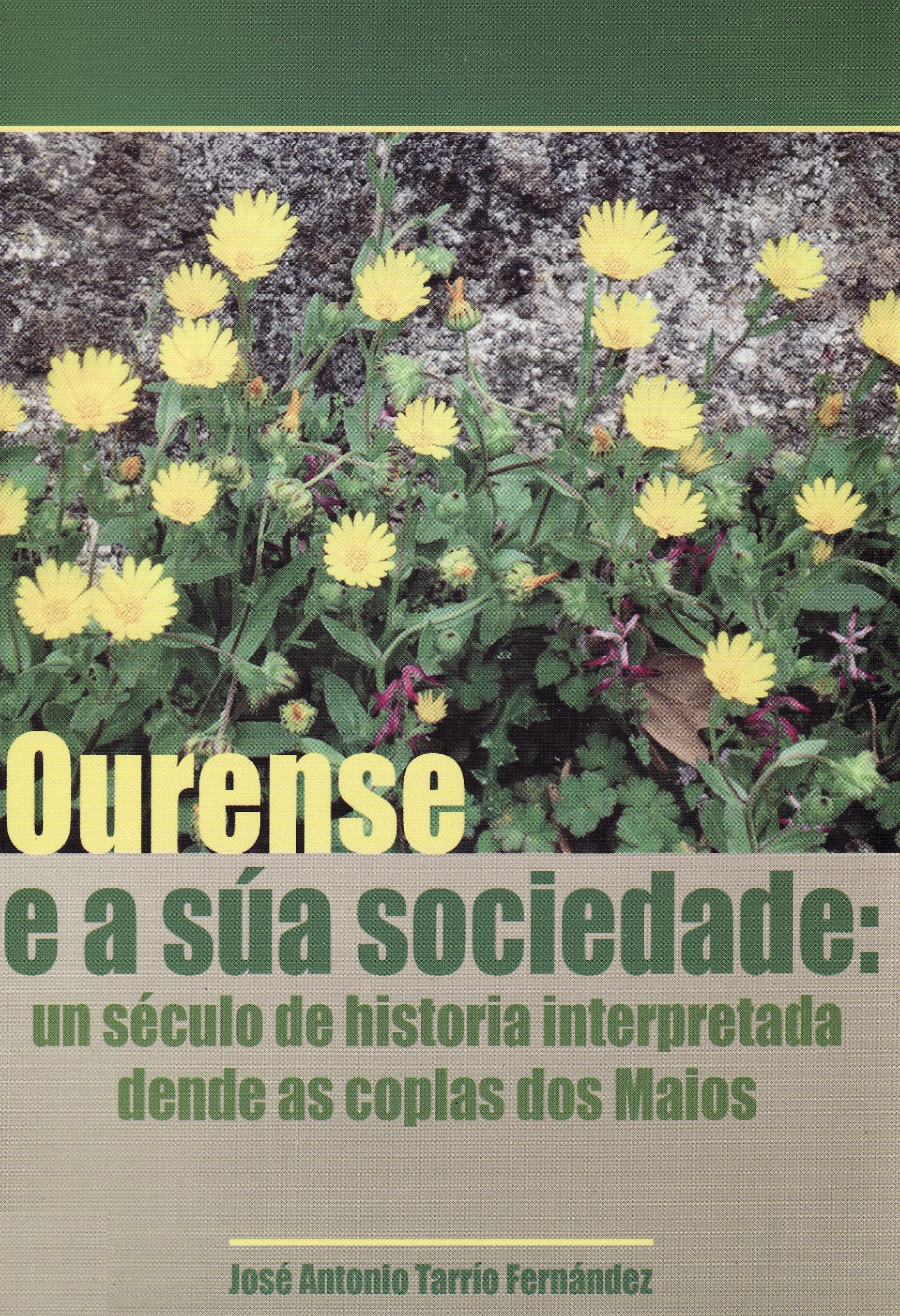 Ourense e a súa sociedade: un século de historia interpretada dende as coplas dos Maios