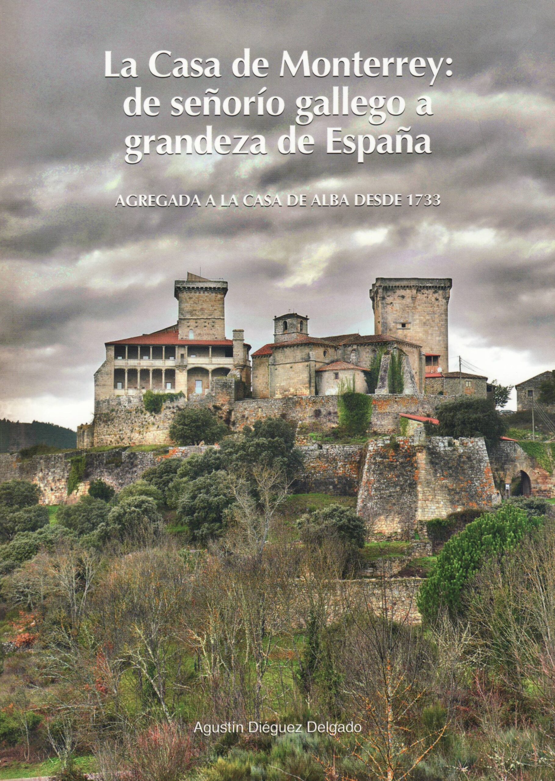 La casa de Monterrey. De señorío gallego a grandeza de España. (Agregada a la casa de Alba desde 1733).